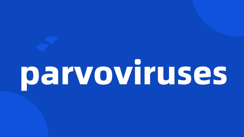 parvoviruses