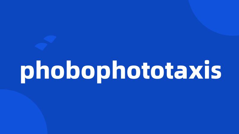 phobophototaxis