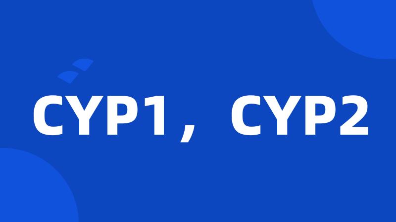 CYP1，CYP2