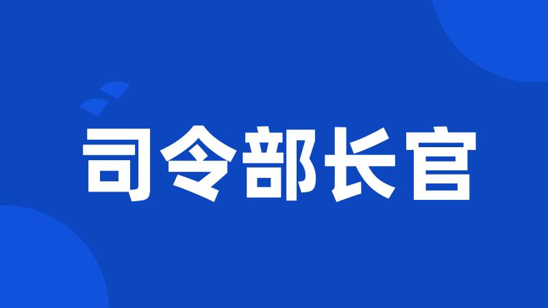 司令部长官