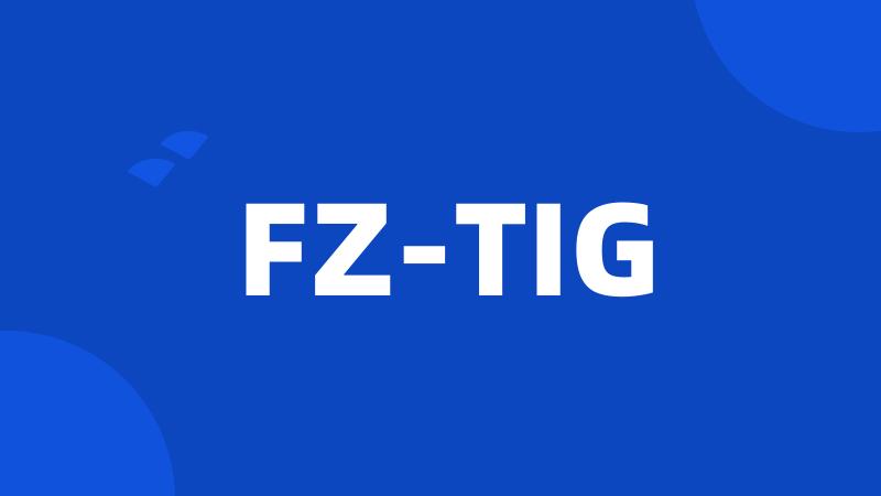 FZ-TIG