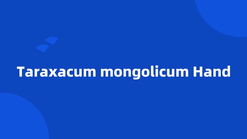 Taraxacum mongolicum Hand
