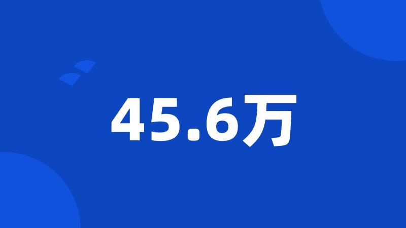 45.6万