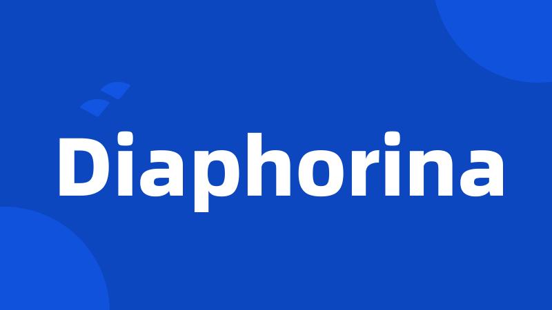 Diaphorina