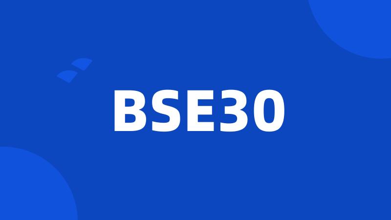 BSE30