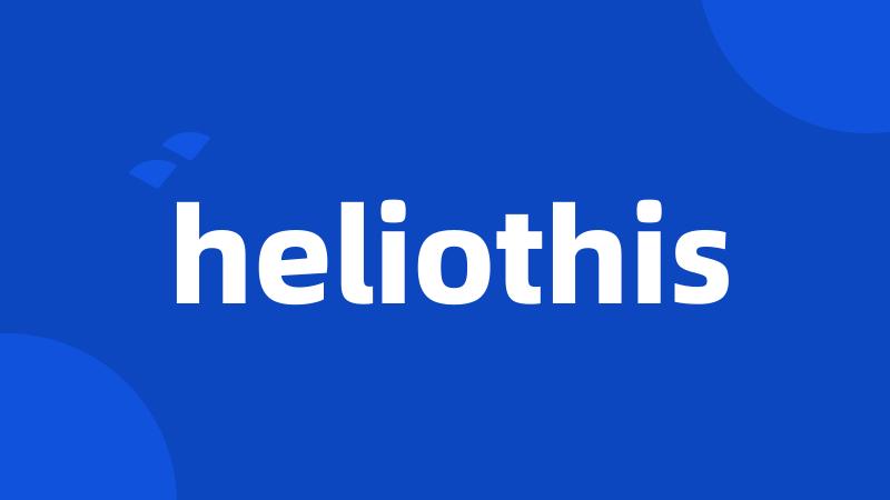 heliothis