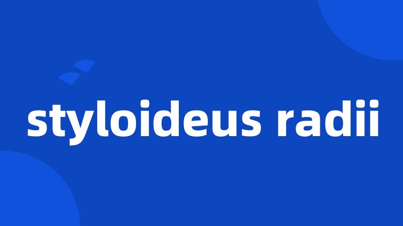 styloideus radii