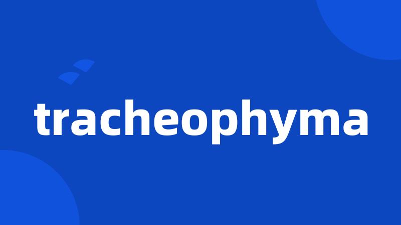 tracheophyma