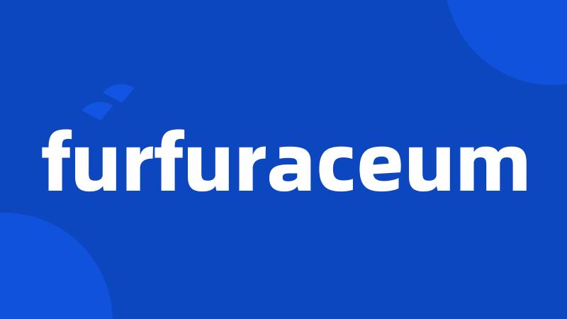 furfuraceum
