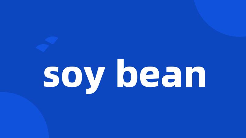 soy bean