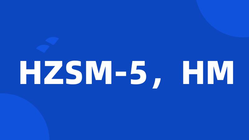 HZSM-5，HM