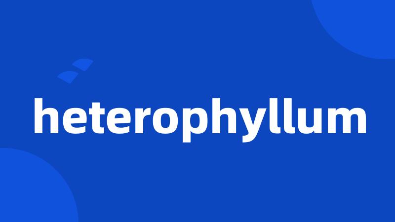 heterophyllum