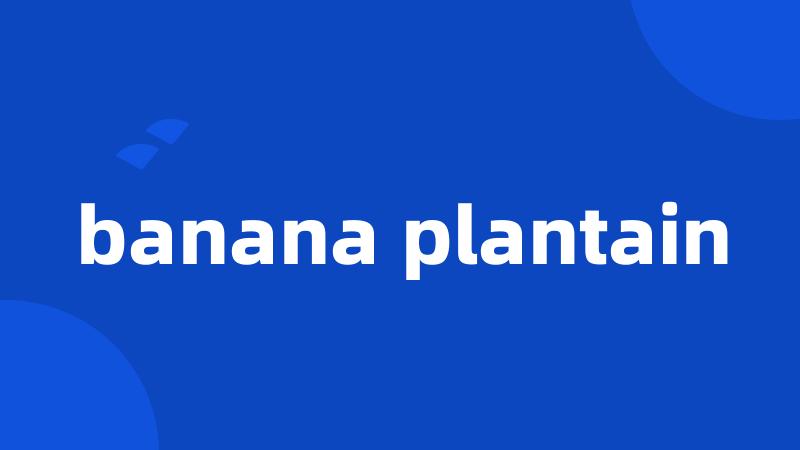 banana plantain