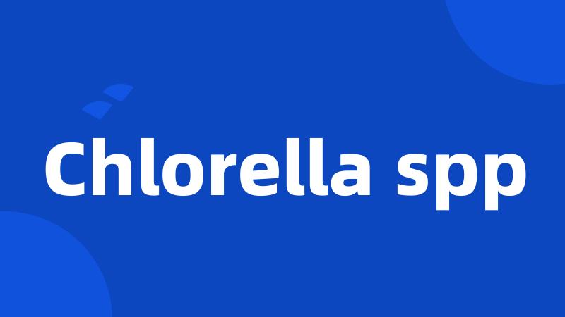 Chlorella spp