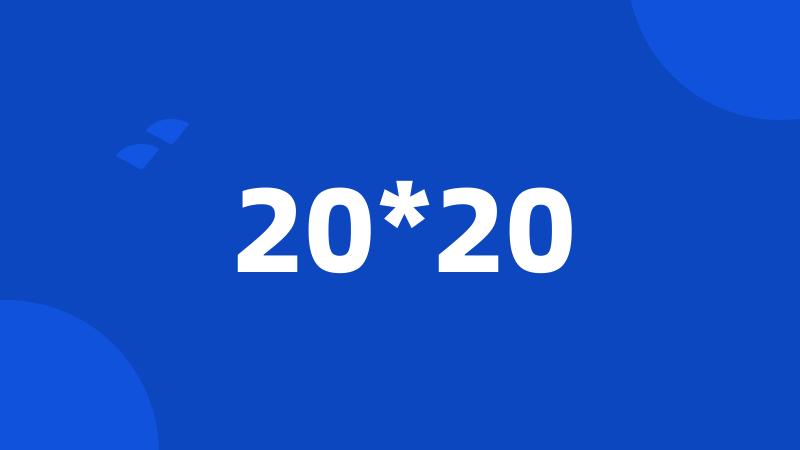 20*20