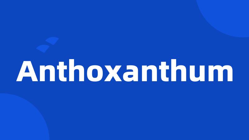 Anthoxanthum