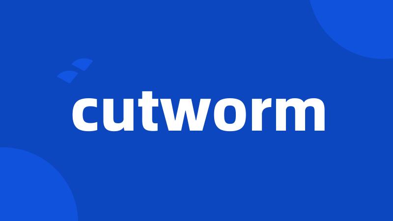cutworm