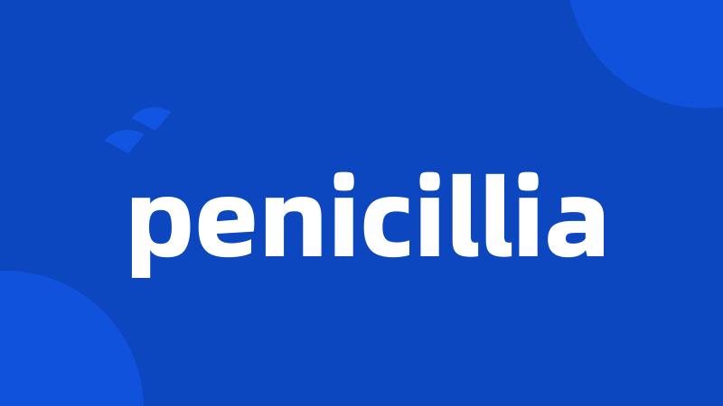 penicillia
