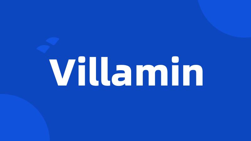 Villamin