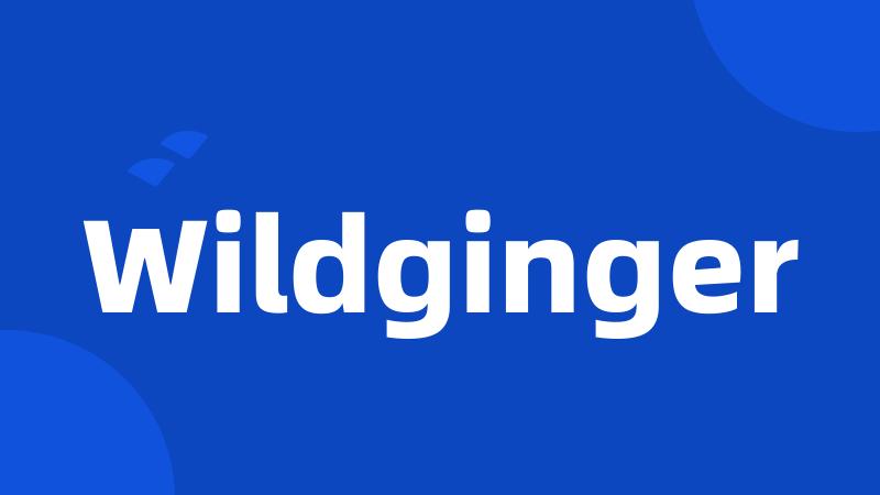 Wildginger