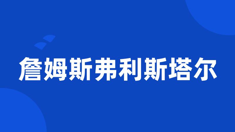 詹姆斯弗利斯塔尔