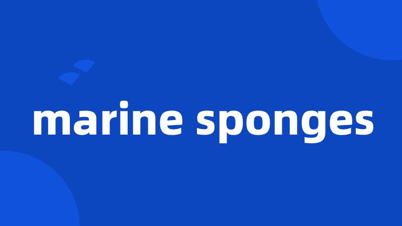 marine sponges