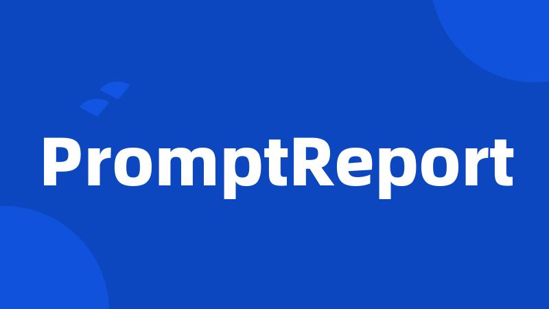 PromptReport