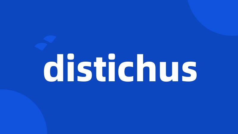 distichus