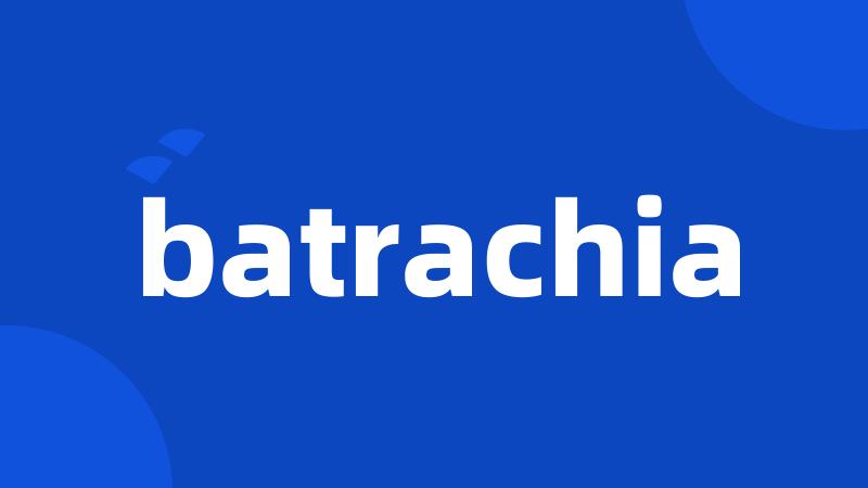 batrachia