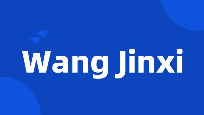 Wang Jinxi