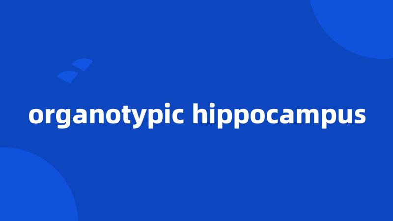 organotypic hippocampus