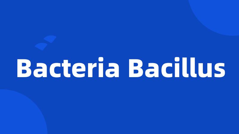 Bacteria Bacillus