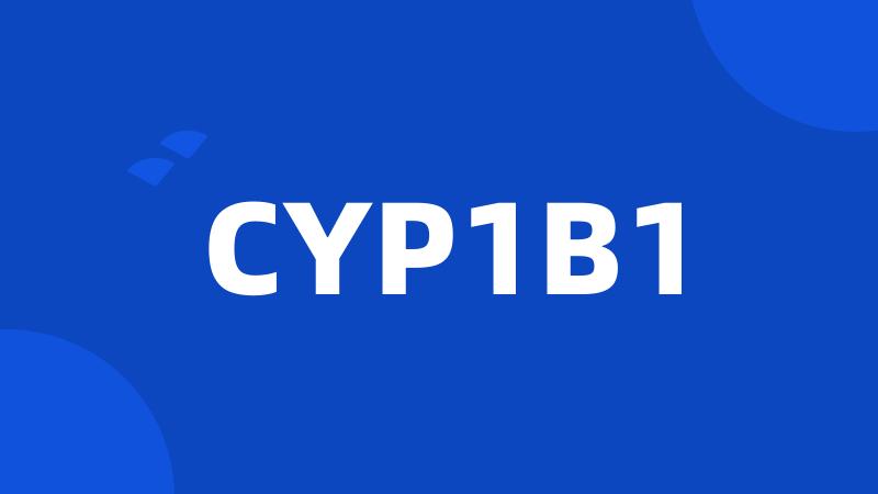 CYP1B1