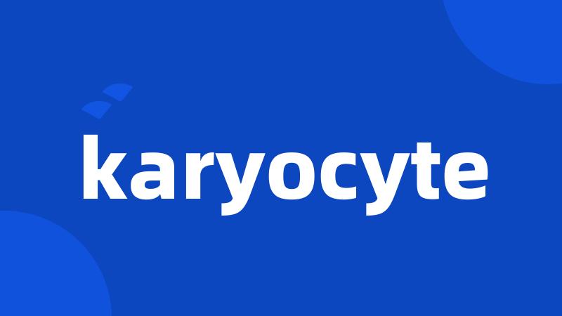 karyocyte
