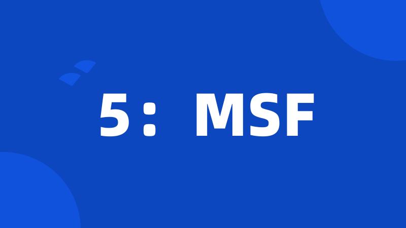 5：MSF