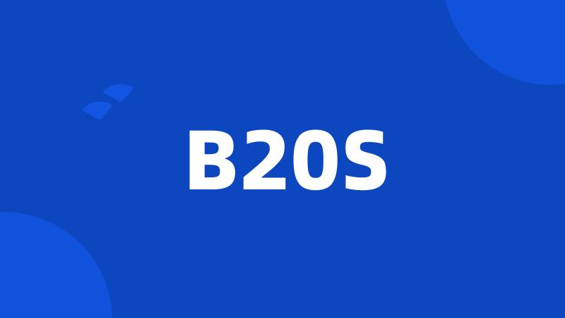 B20S