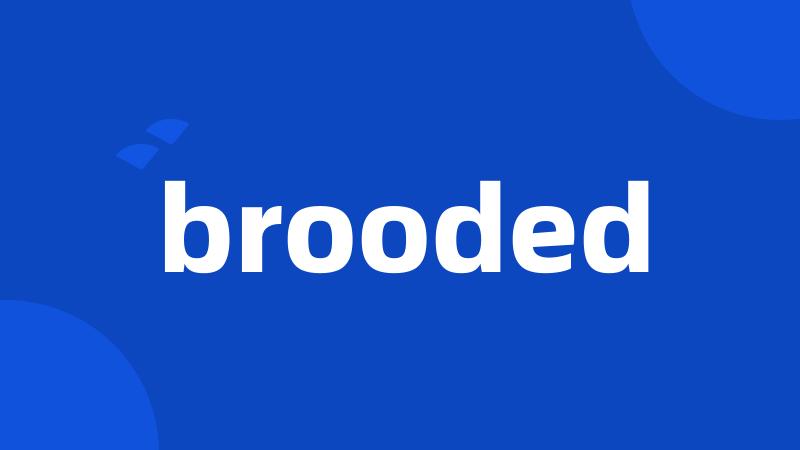 brooded