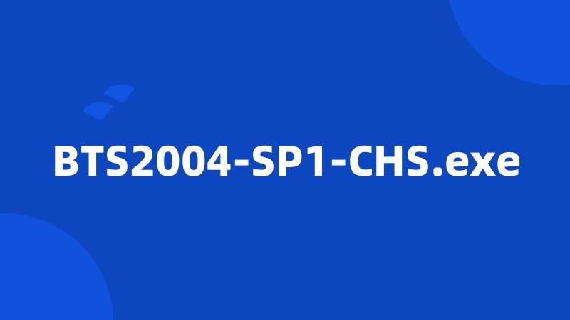BTS2004-SP1-CHS.exe