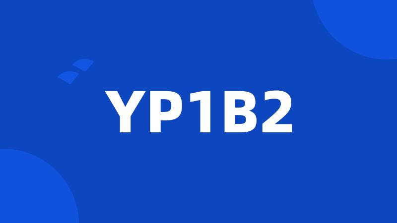 YP1B2