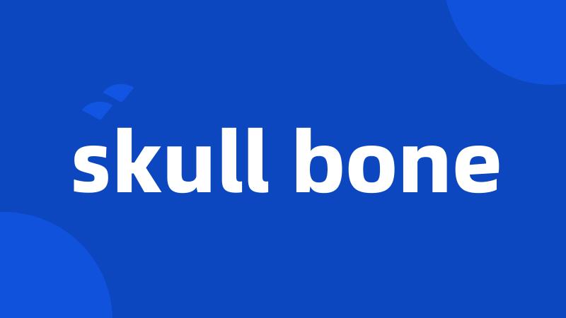 skull bone