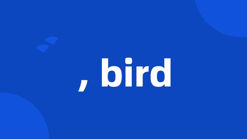 , bird