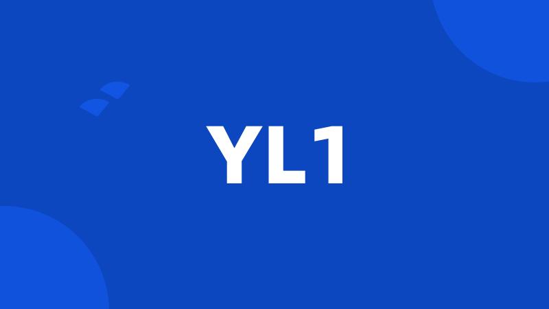 YL1