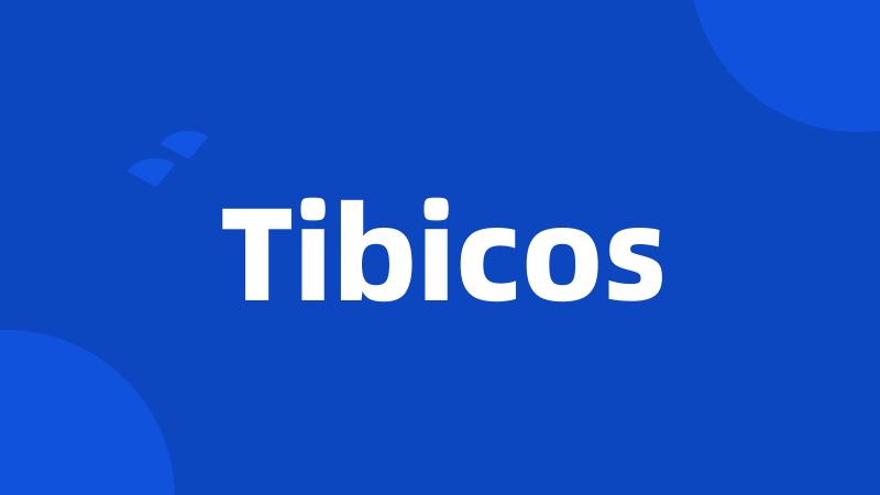 Tibicos