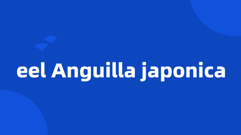 eel Anguilla japonica