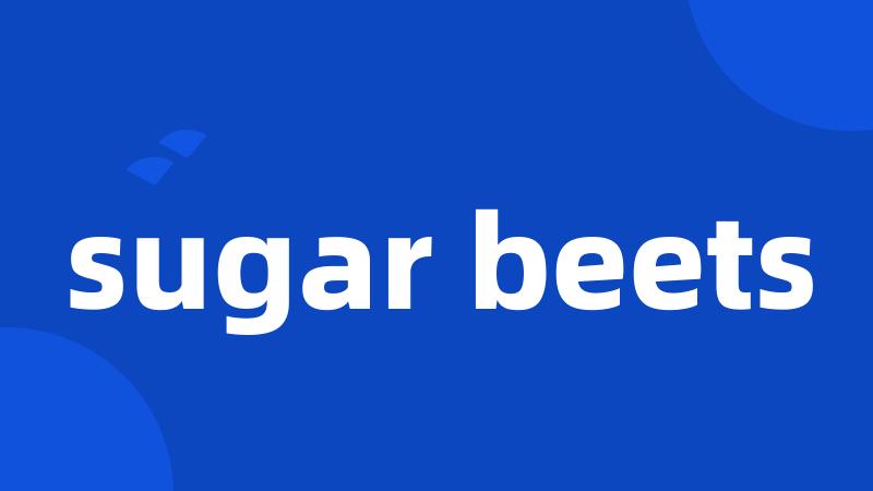 sugar beets