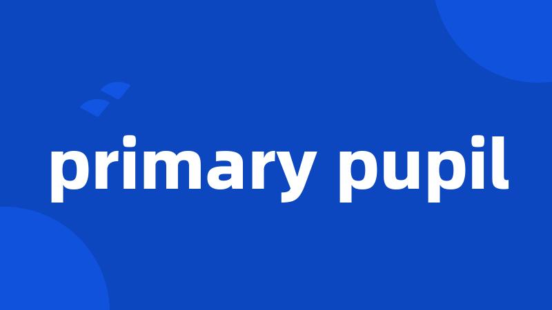 primary pupil