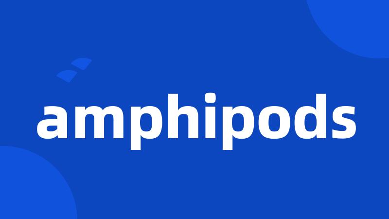 amphipods