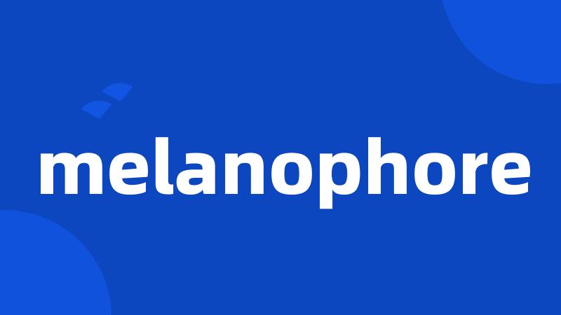 melanophore