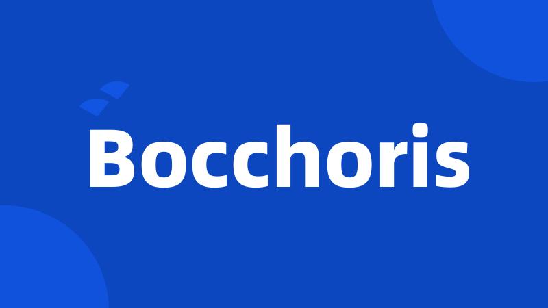 Bocchoris