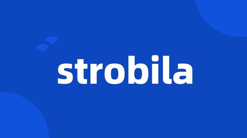 strobila